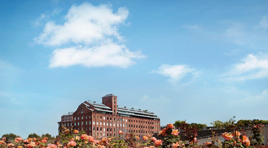 faena 2.jpg