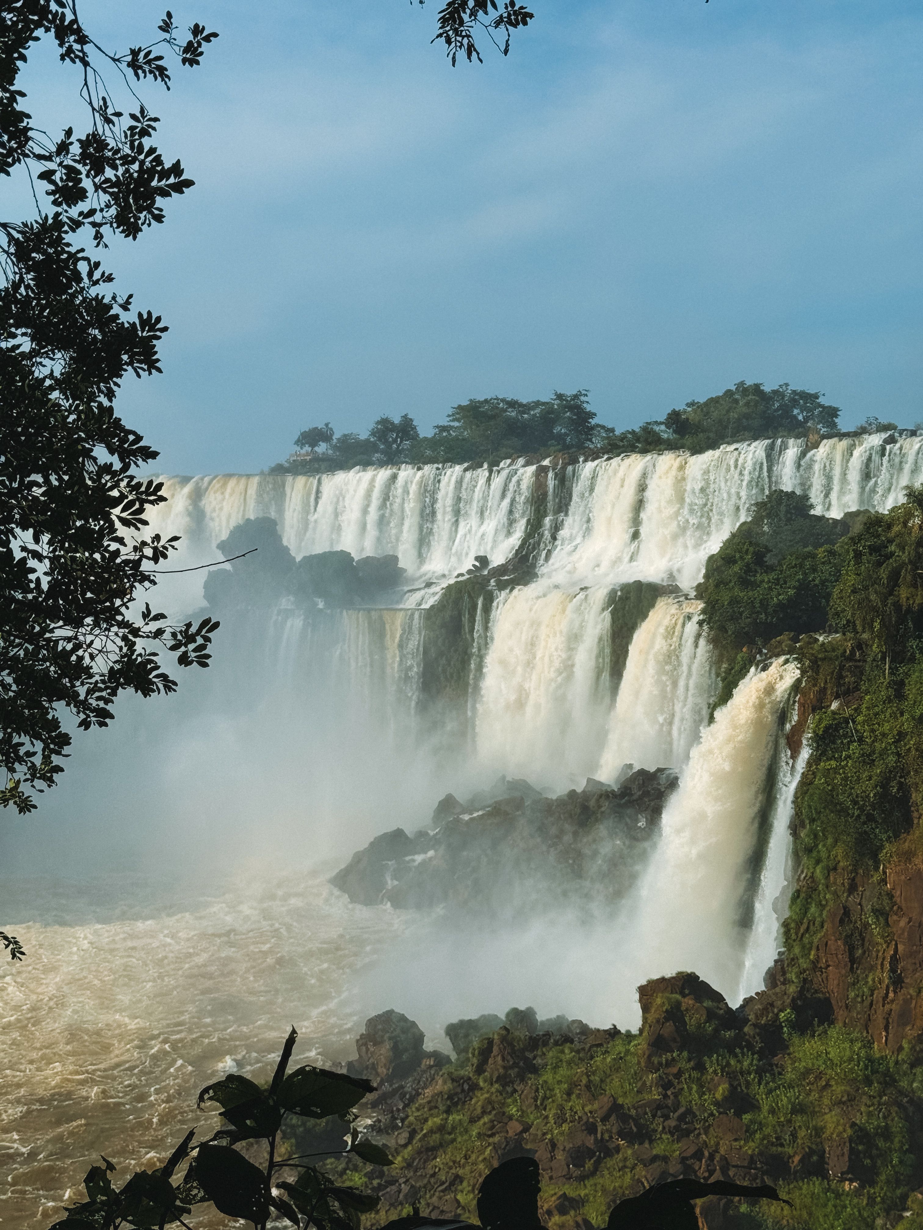 Senderos de la selva misionera